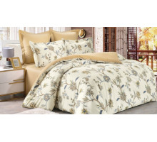 Постельное белье евростандарт C-356