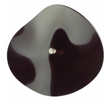 Накладной светильник Odeon Light Fluent 4859/5WL