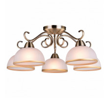 Потолочная люстра Arte Lamp  A1221PL-5AB