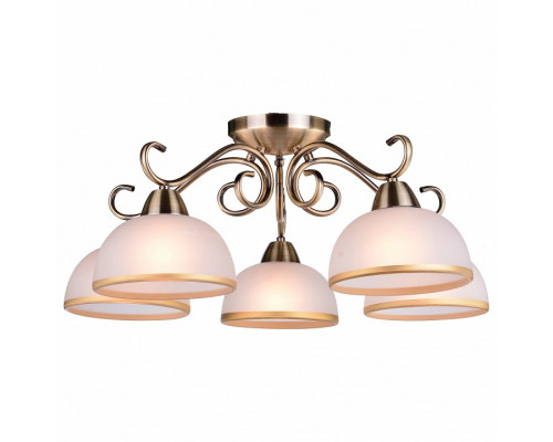 Потолочная люстра Arte Lamp  A1221PL-5AB