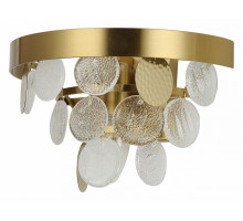 Накладной светильник Favourite Vesuvius 2905-1W