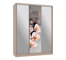 Шкаф-купе Бассо 9-600 78