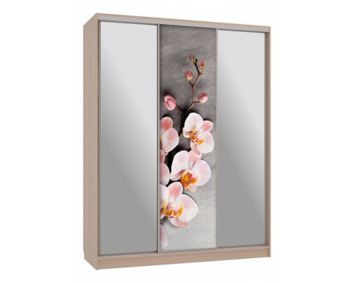 Шкаф-купе Бассо 9-600 78