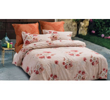 Постельное белье двуспальное B-168