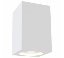 Накладной светильник Maytoni Alfa C011CL-01W