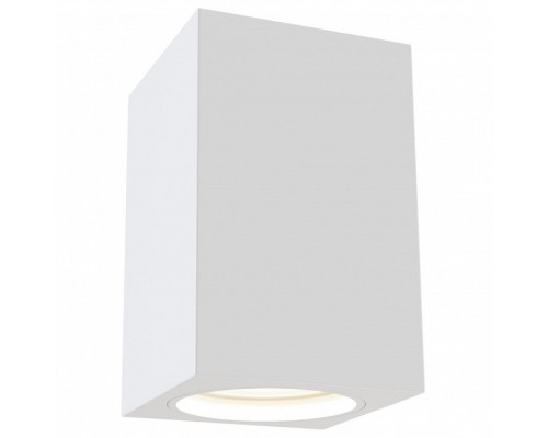 Накладной светильник Maytoni Alfa C011CL-01W