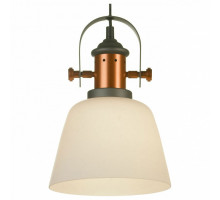 Подвесной светильник Lussole Binghamton LSP-9846