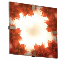 Накладной светильник Lussole LSN-52 