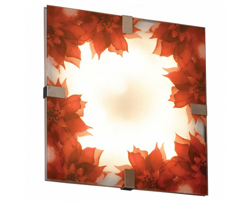 Накладной светильник Lussole LSN-52