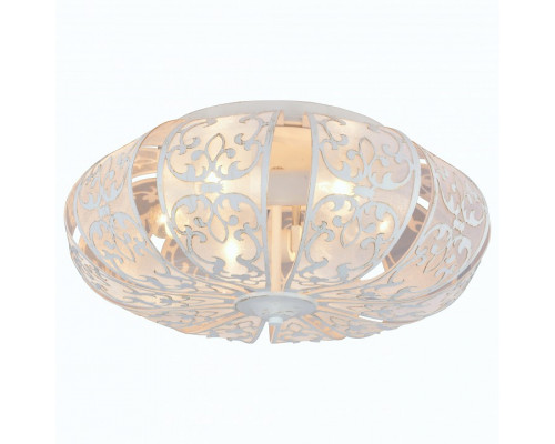 Накладной светильник Arte Lamp 5116 A5116PL-6WG