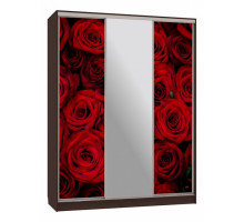 Шкаф-купе Бассо 10-600 89