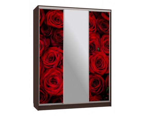 Шкаф-купе Бассо 10-600 89