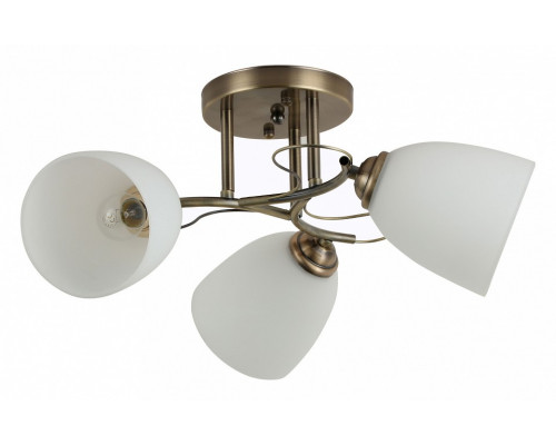 Потолочная люстра Rivoli Carlo Б0044452