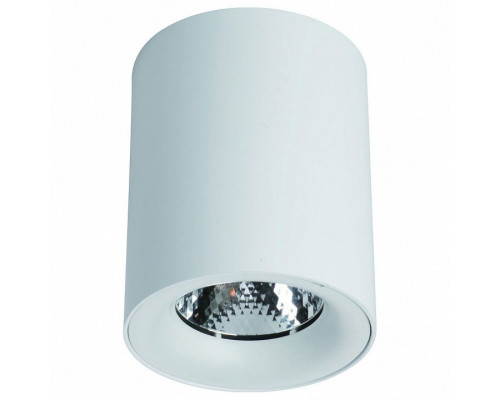 Накладной светильник Arte Lamp Facile A5118PL-1WH