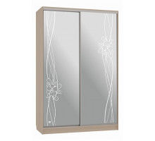 Шкаф-купе Рио 4-600 волны 2