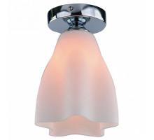 Накладной светильник Arte Lamp Canzone A3469PL-1CC