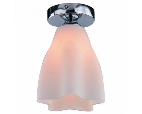 Накладной светильник Arte Lamp Canzone A3469PL-1CC