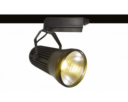 Светильник на штанге Arte Lamp Track Lights A6330PL-1BK