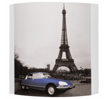 Накладной светильник Alfa Paris 91365