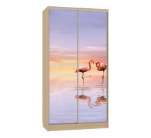 Шкаф-купе Рио 7-600