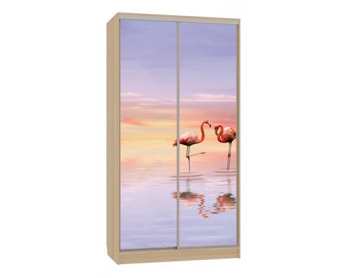 Шкаф-купе Рио 7-600