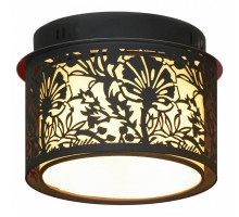 Накладной светильник Lussole Vetere 