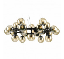 Подвесной светильник Arte Lamp 1664 A1664SP-25BK