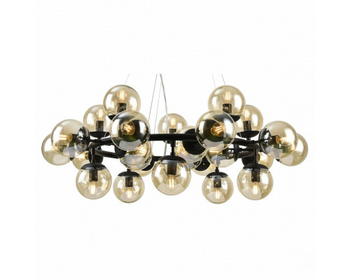 Подвесной светильник Arte Lamp 1664 A1664SP-25BK