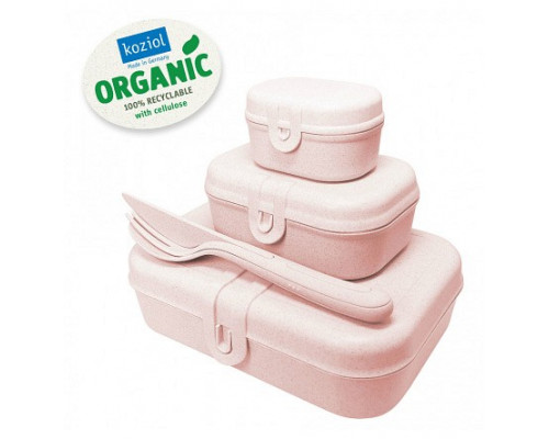 Набор из 3 ланчбоксов (23.2x16.6x6.2 см) Pascal 3168669