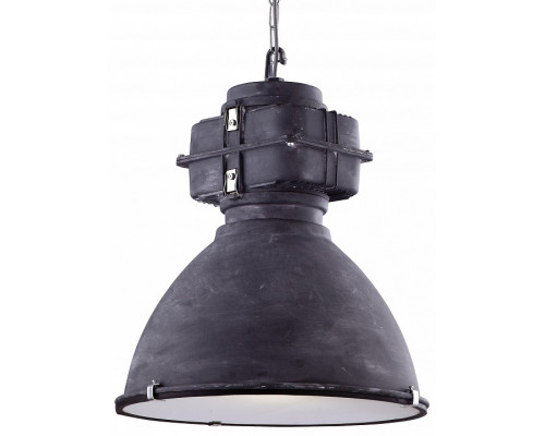 Подвесной светильник Arte Lamp Loft A5014SP-1BG