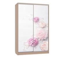 Шкаф-купе Гранд 7-600 17