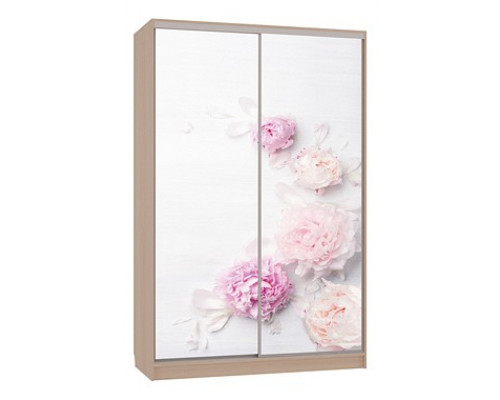 Шкаф-купе Гранд 7-600 17