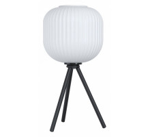 Настольная лампа декоративная Eglo ПРОМО Mantunalle 99369