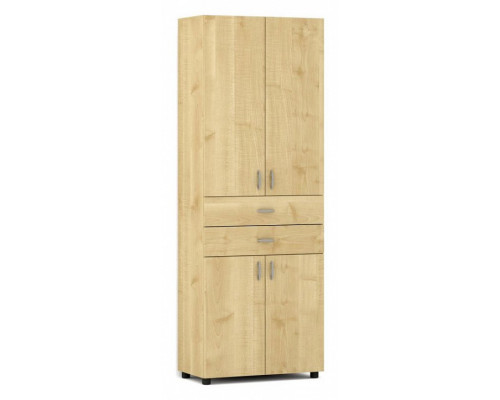 Шкаф комбинированный Лидер СТ.029.800-01