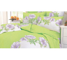 Постельное белье евростандарт A-32