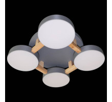 Накладной светильник Natali Kovaltseva 2132 LED LAMPS 81326