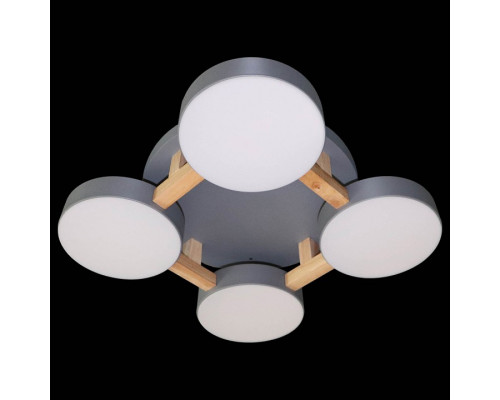 Накладной светильник Natali Kovaltseva 2132 LED LAMPS 81326