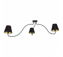 Потолочная люстра Nowodvorski Swivel Black 6558