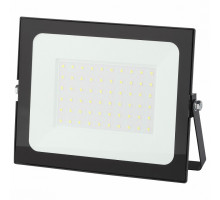 Настенно-потолочный прожектор Эра LPR-021 LPR-021-0-65K-070