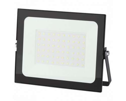 Настенно-потолочный прожектор Эра LPR-021 LPR-021-0-65K-070