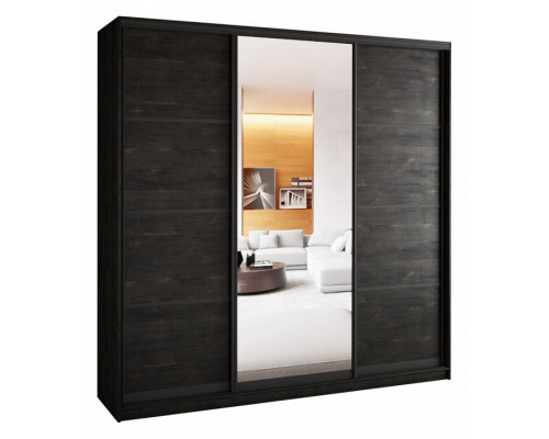 Шкаф-купе А0471494704 2500x580