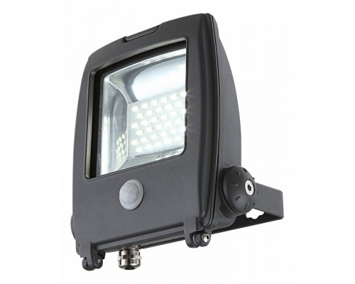 Настенный прожектор Globo Projecteur I 34219S