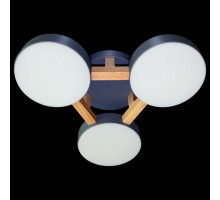 Накладной светильник Natali Kovaltseva 2132 LED LAMPS 81328