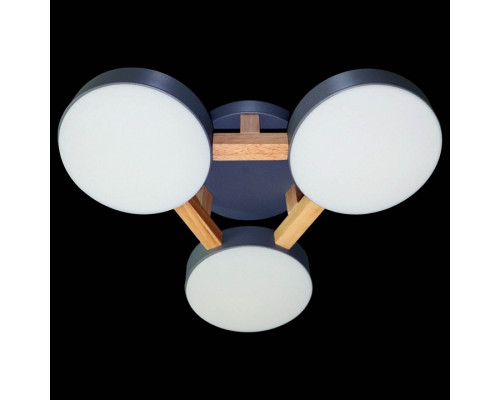 Накладной светильник Natali Kovaltseva 2132 LED LAMPS 81328