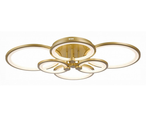 Потолочная люстра EVOLED Leto