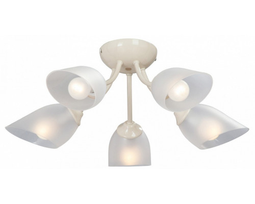 Потолочная люстра Vitaluce  V3405/5PL