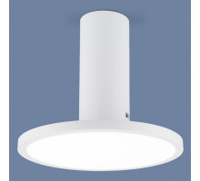 Накладной светильник Elektrostandard DLS029 a047771