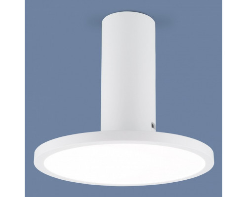 Накладной светильник Elektrostandard DLS029 a047771