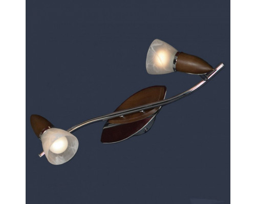 Спот Lussole Cisterino