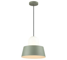 Подвесной светильник Odeon Light Alur 4142/1